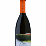 Col de Mar Prosecco DOC Millesimato Extra Dry 0,75l 11,5%